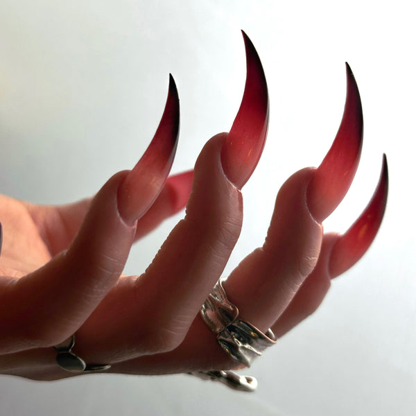 Beast Sacrifice | 1S216 long pointed nails witch nails acrylic press on nails anime nails claw press on nails sharp nails gothic nails